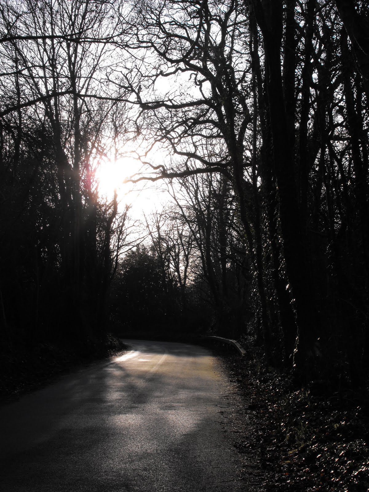 [2009_12032009Septcarewcastle0023.JPG]