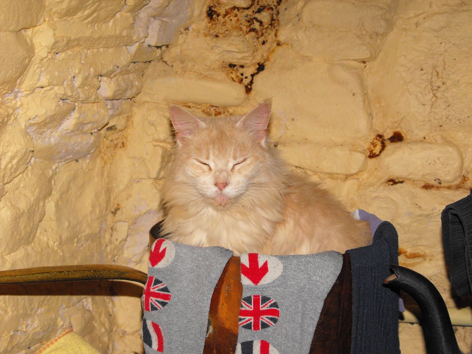 [2009_12062009Septcarewcastle0001.JPG]