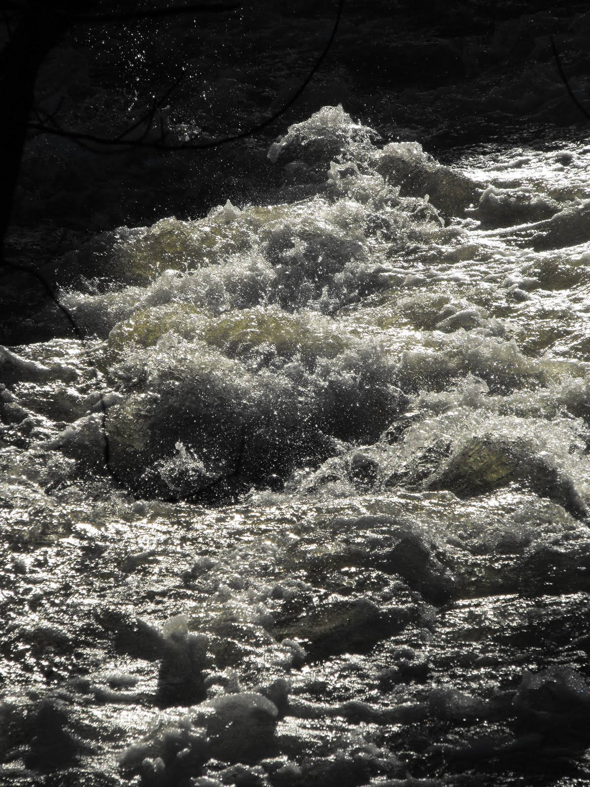 [2009_12102009Septcarewcastle0012.JPG]
