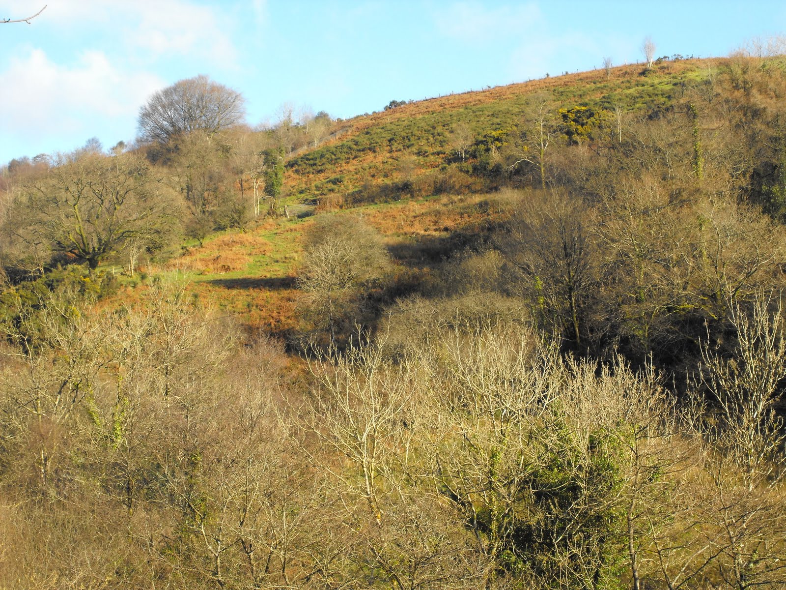 [2009_12122009Septcarewcastle0015.JPG]