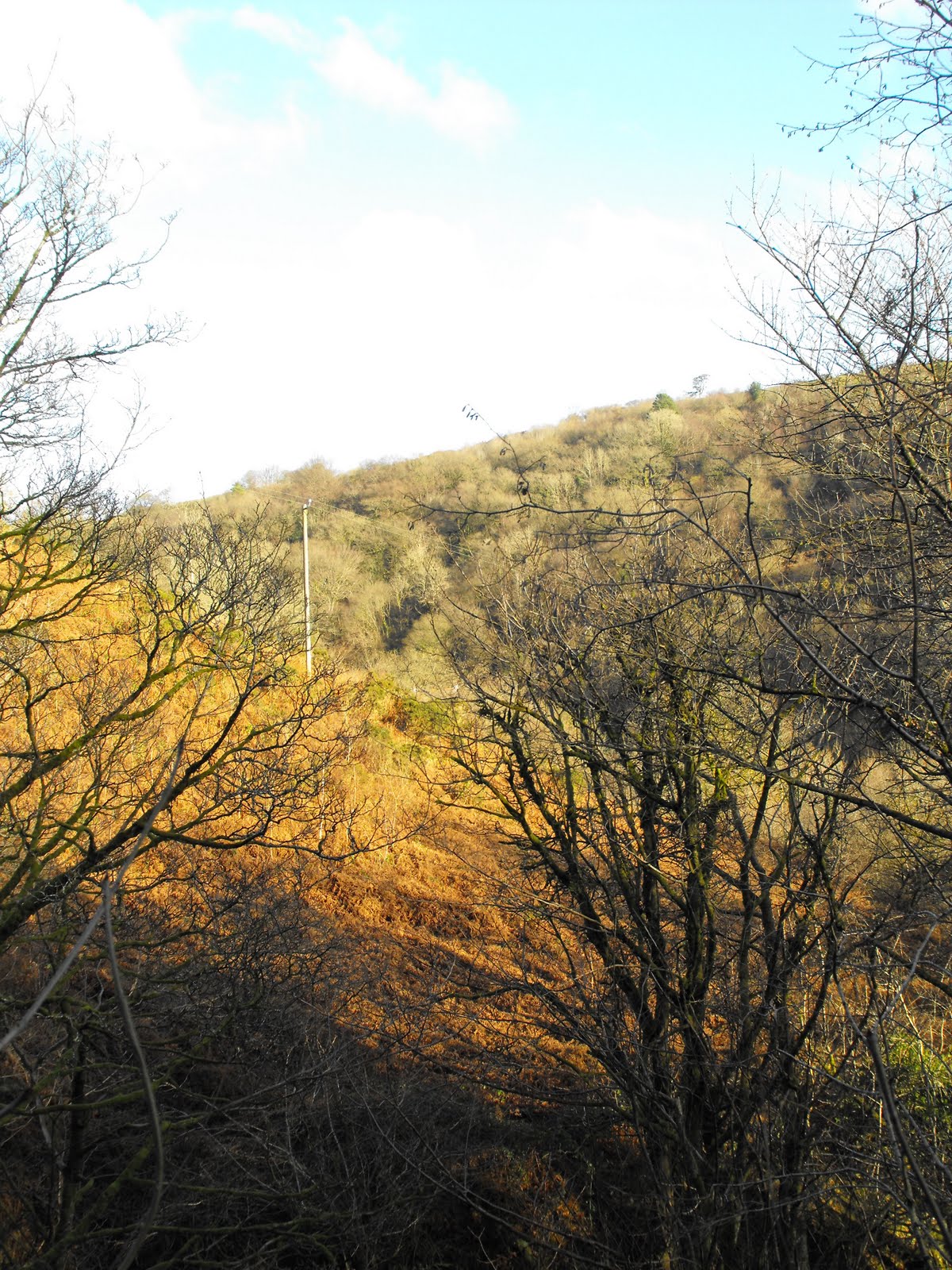[2009_12122009Septcarewcastle0013.JPG]