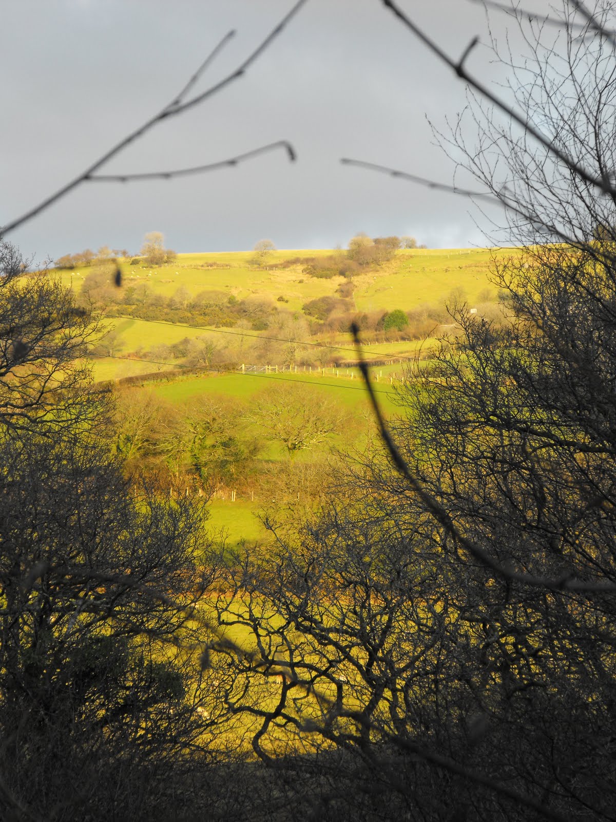 [2009_12172009Septcarewcastle0054.JPG]
