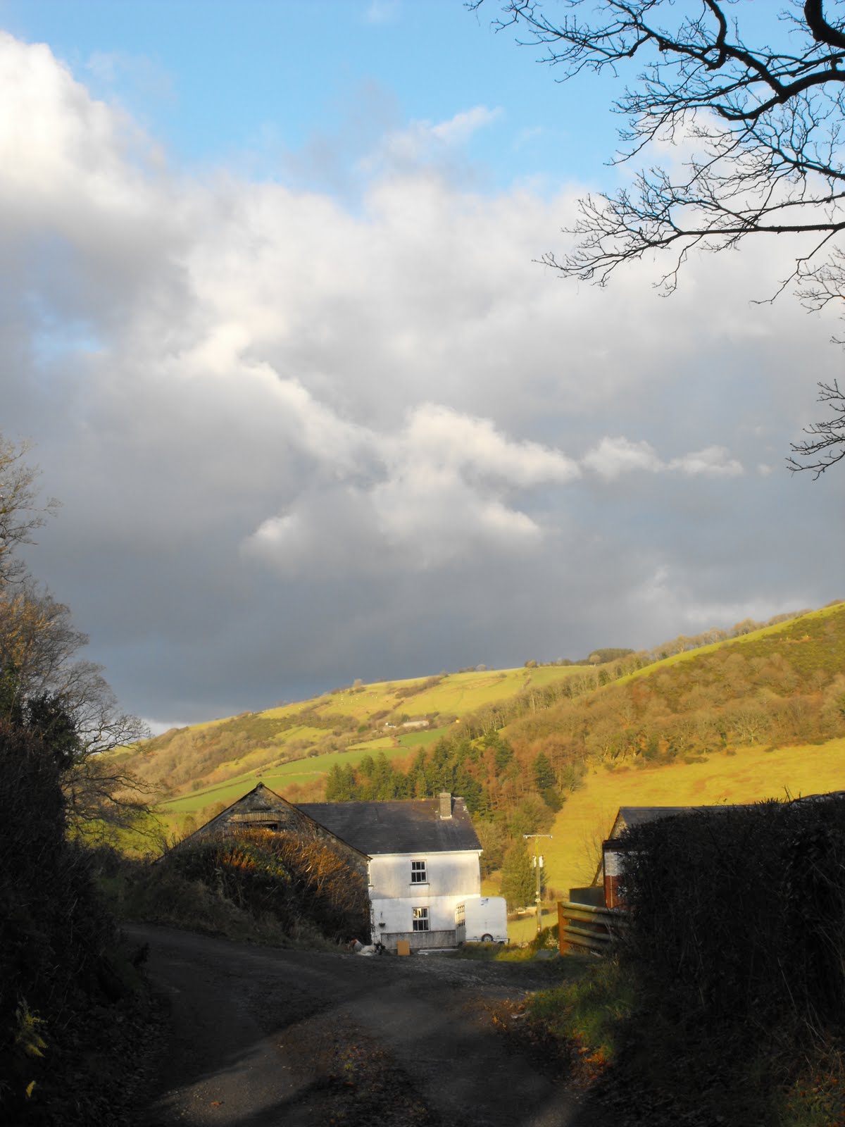 [2009_12172009Septcarewcastle0061.JPG]