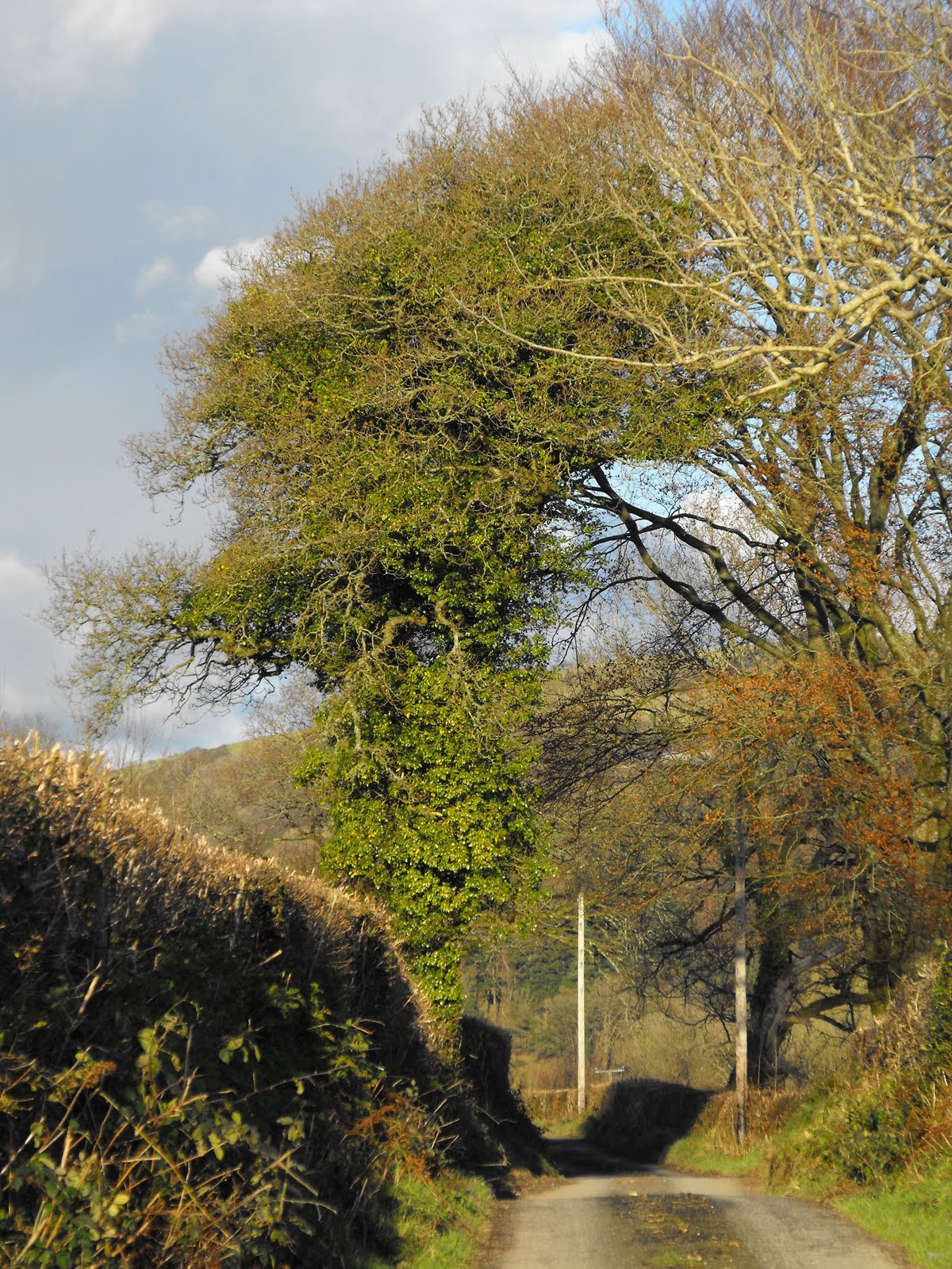 [2009_12172009Septcarewcastle0045.JPG]