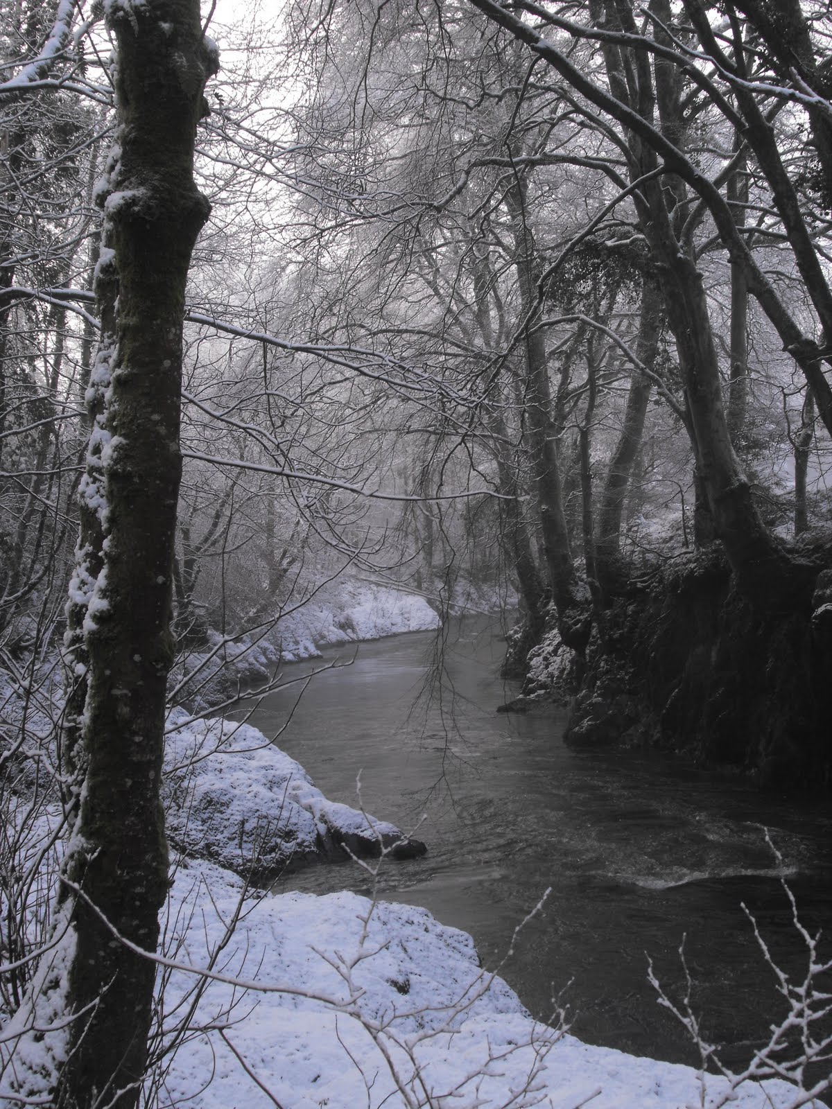 [2010_01022009Septcarewcastle0036.JPG]