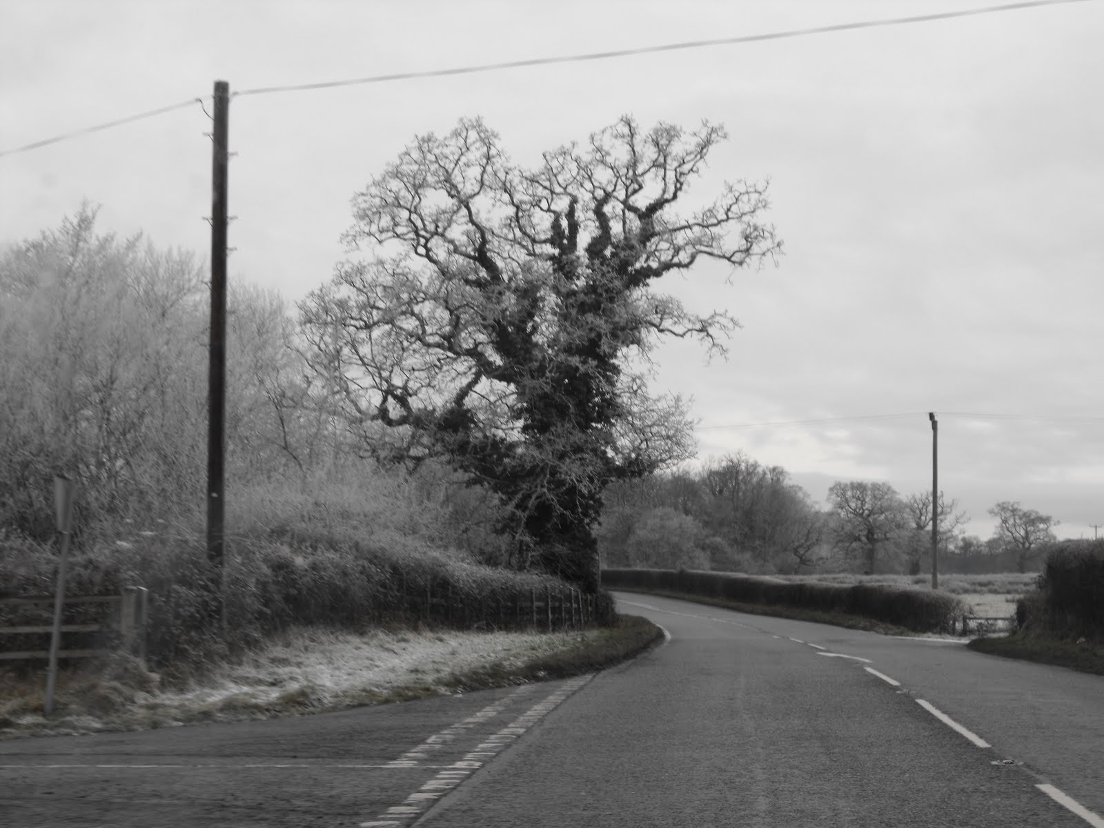 [2009_12232009Septcarewcastle0004.JPG]