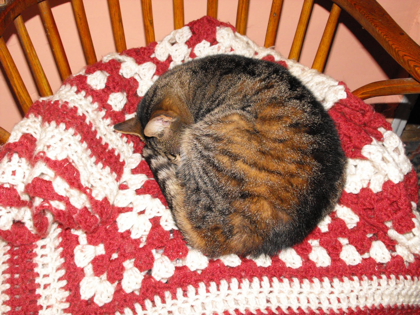 [2009_12312009Septcarewcastle0005.JPG]