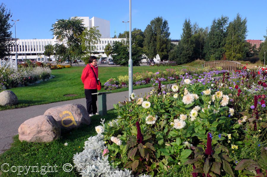 [Autumn_Flowers_in_Helsinki_Floras_del_Otono_Fleurs_de_Automne5.JPG]