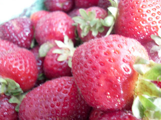 Fresh succulent strawberries from Sandhu Farms purchased from the Main Street Farmers Market at Thornton Park, Vancouver, BC. (2009)