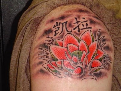 Lotus Tattoos on Tattoo Tattoos Pictures  New Tattoo Lotus Designs