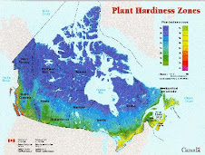 Canada's zone hardiness map