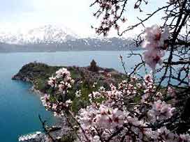 [sifali_bitkiler.jpg]