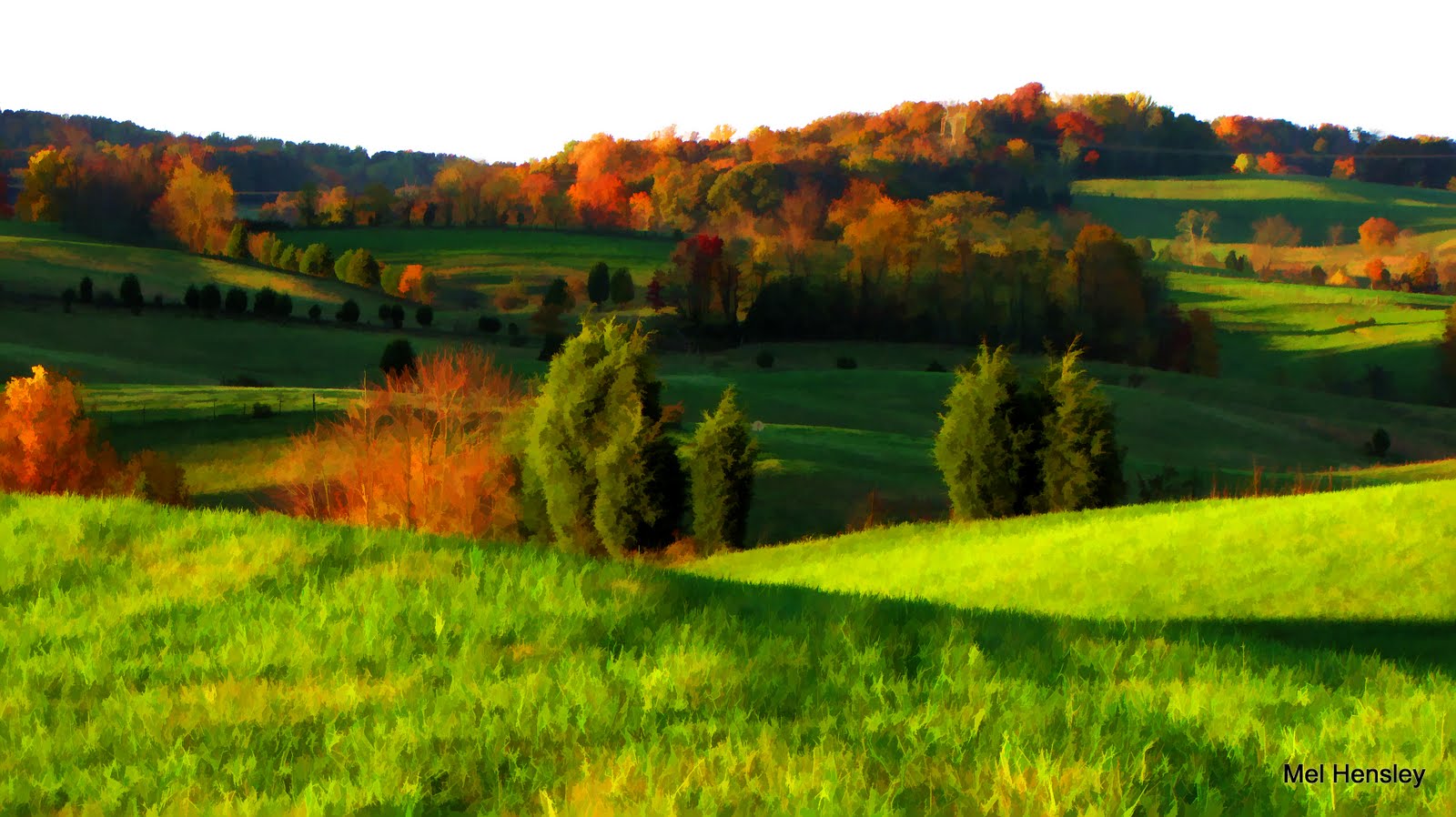 Tennessee Rambler Rolling Hills