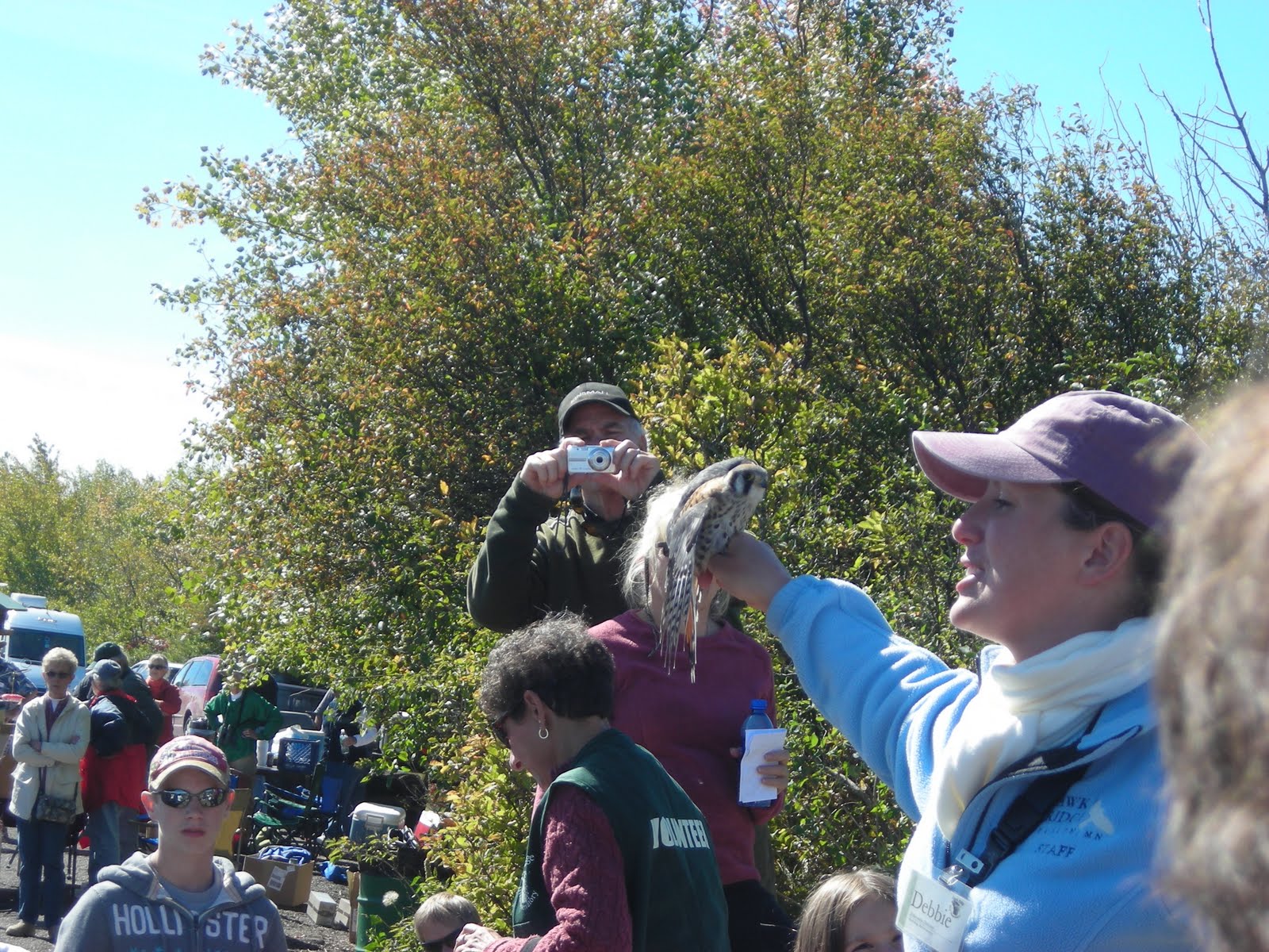 A Naturalist's Journal: The Great Fall Raptor Migration