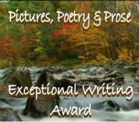 Exceptional Writing Award