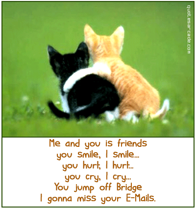 Funny Pictures  on Funny Friend Quotes Search Results From Google Funny Friendship Quote