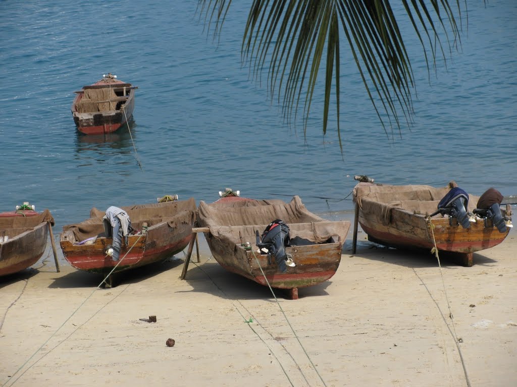 [Zanzibar+018+cropped.jpg]