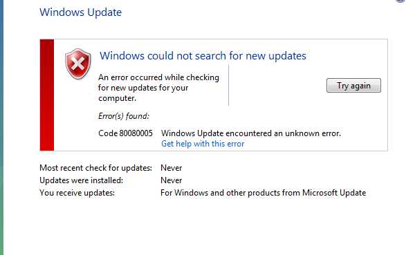 Image result for windows update error code 80080005
