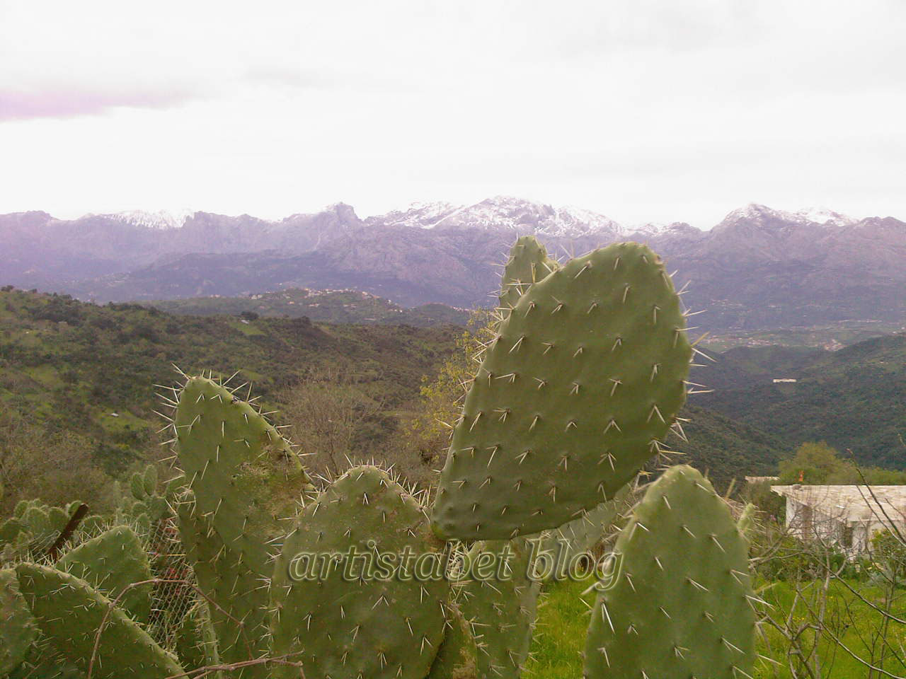Bougaa, Setif, Algérie. N.E.W.S