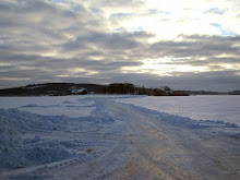 Ice landscape in Halland