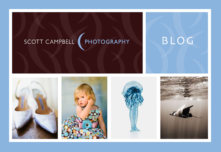 Scott Campbell Photography    ||  Blog ||