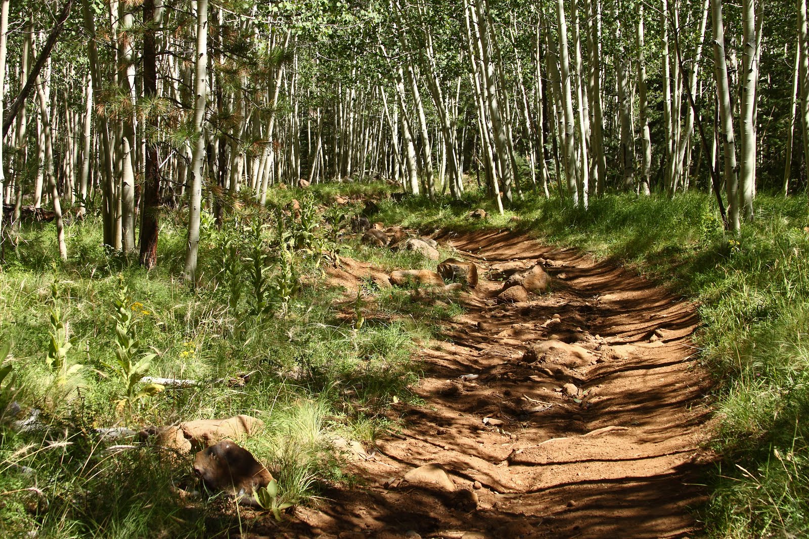 Around the Bend Friends ® Flagstaff Excursion 9/8/10 thru 9/12/10