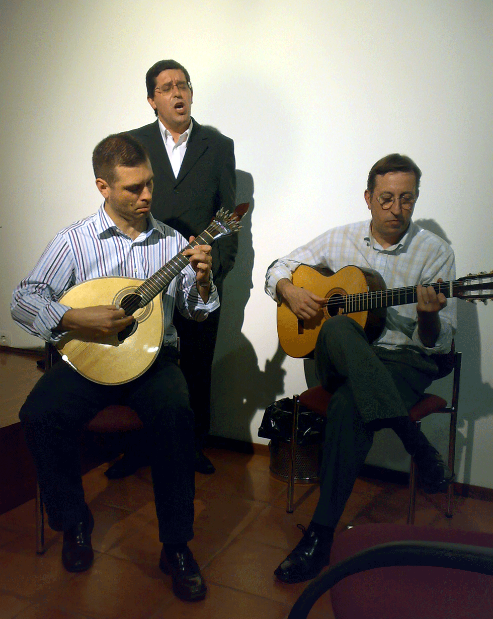 [Pardalitos&RuiLucas.gif]