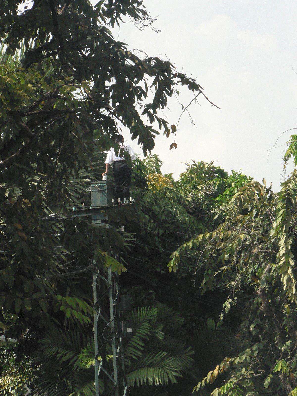 [P1150494.JPG]