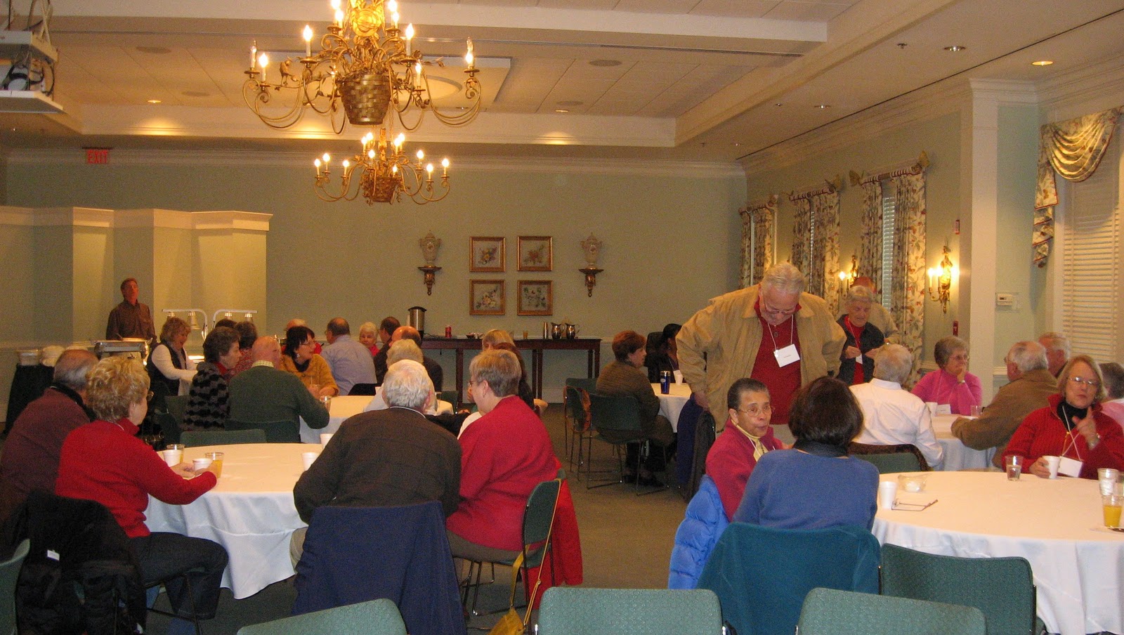 The Accidental Gardener: January 2011