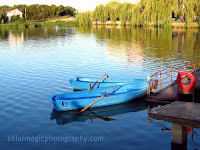 Blue boat at lake bank