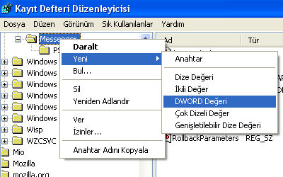 [msn145.jpg]
