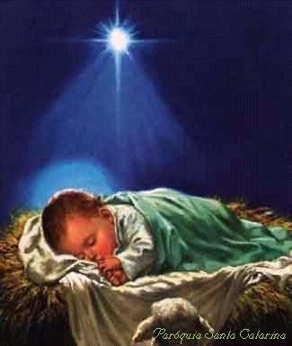 [Elvira Carvalho.jpg]