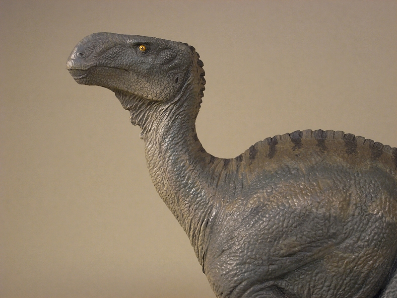 恐竜・古生物造形作品ギャラリー イグアノドン Iguanodon bernissartensis