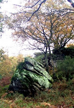 Pedra de Cailleach