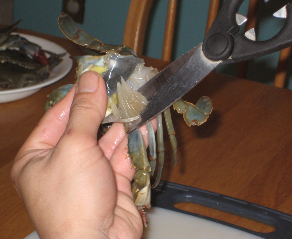 How To Prep & Cook SoftShell Crabs Lauren Conrad