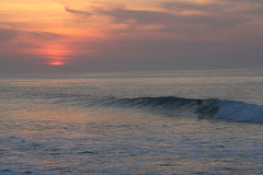 Winki winter dawn