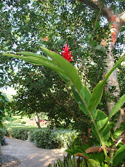 Riviera Maya