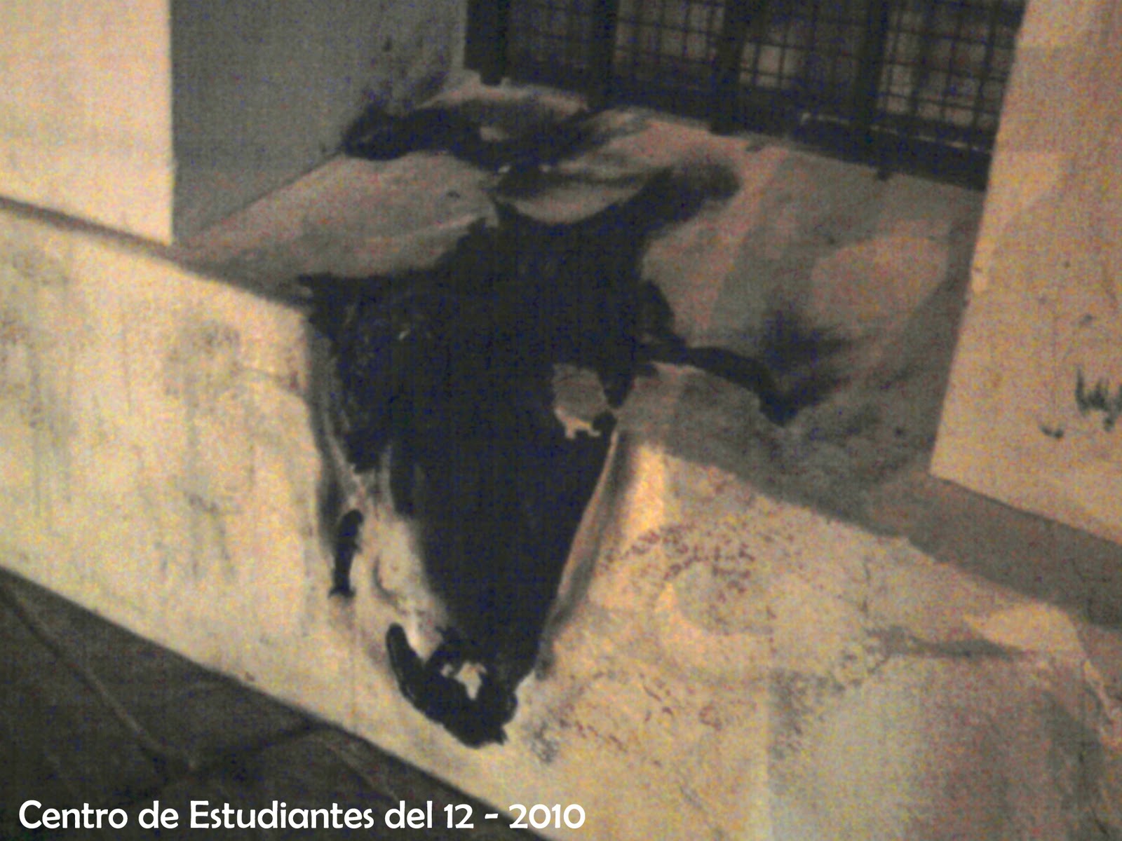  Centro de Estudiantes del 12 Imagenes de la Bandera Quemada