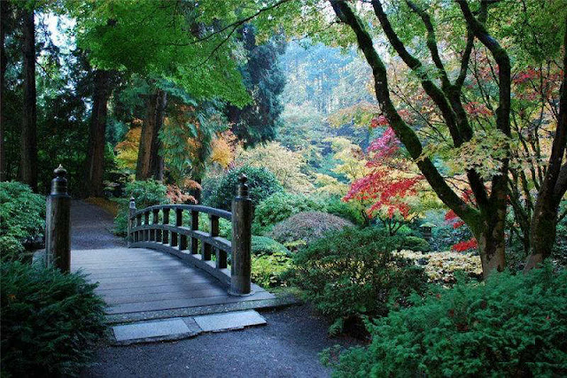 Scenes Of Japanese Park Tranquility | Amazing & Funny