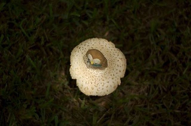 [crochet_creations_44.jpg]