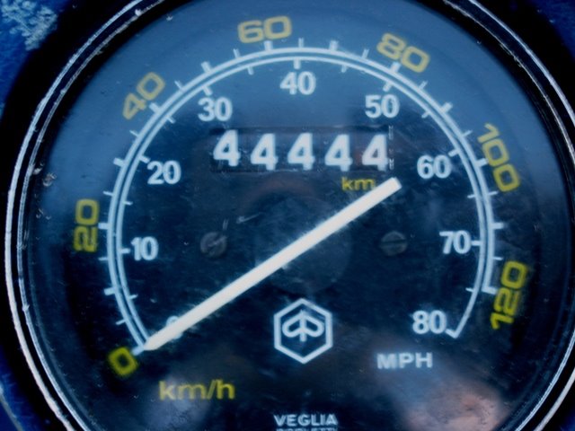 [Pedro42Ferreira_44444_2.jpg]