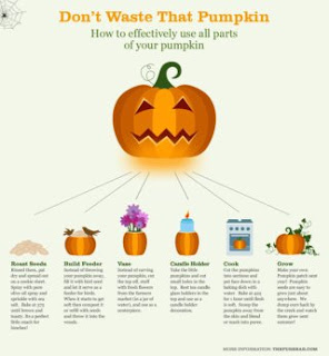 dont waste that pumpkin image