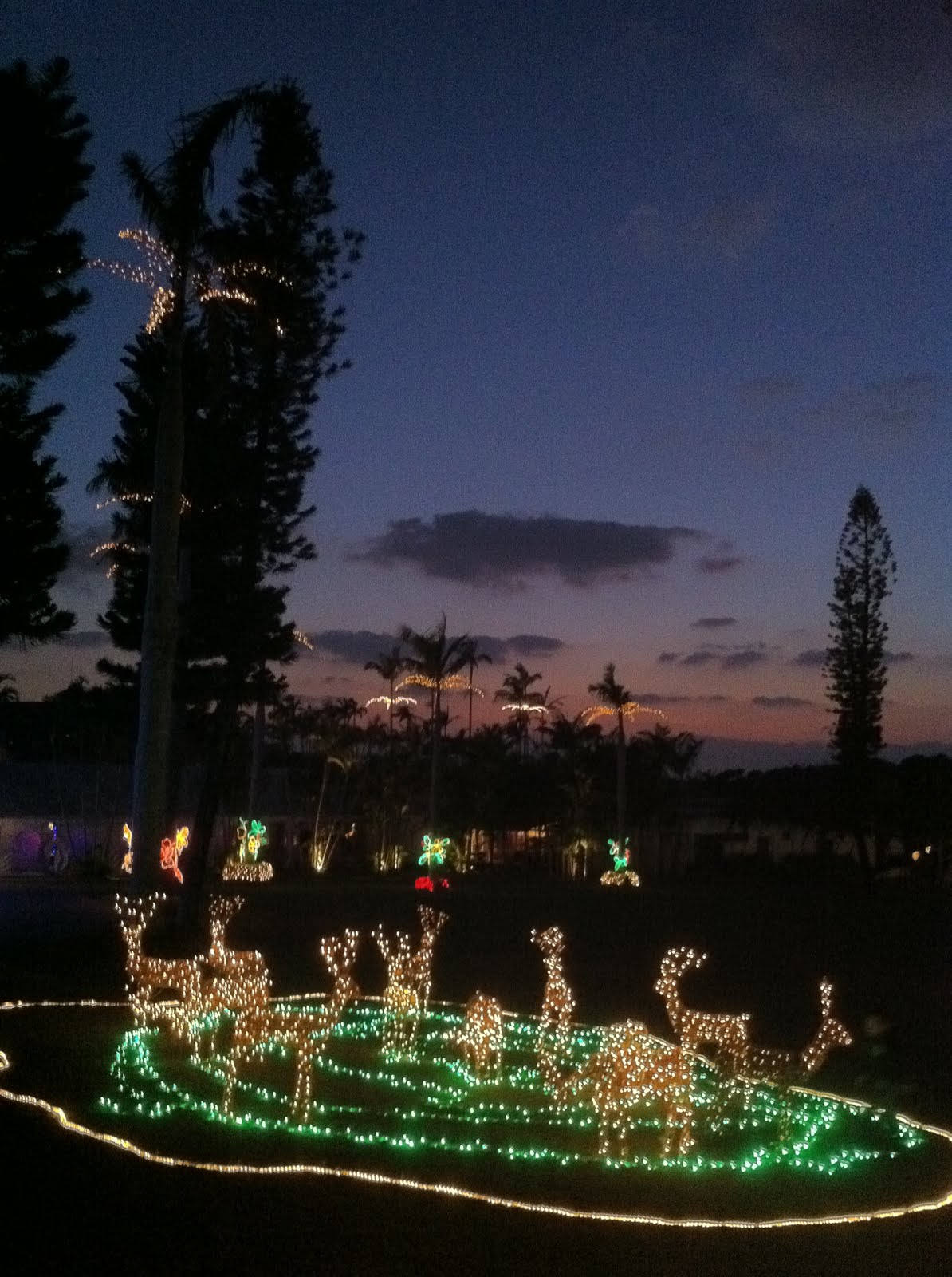 The Oklaho... er... Okinawa Smiths Christmas at Southeast Botanical