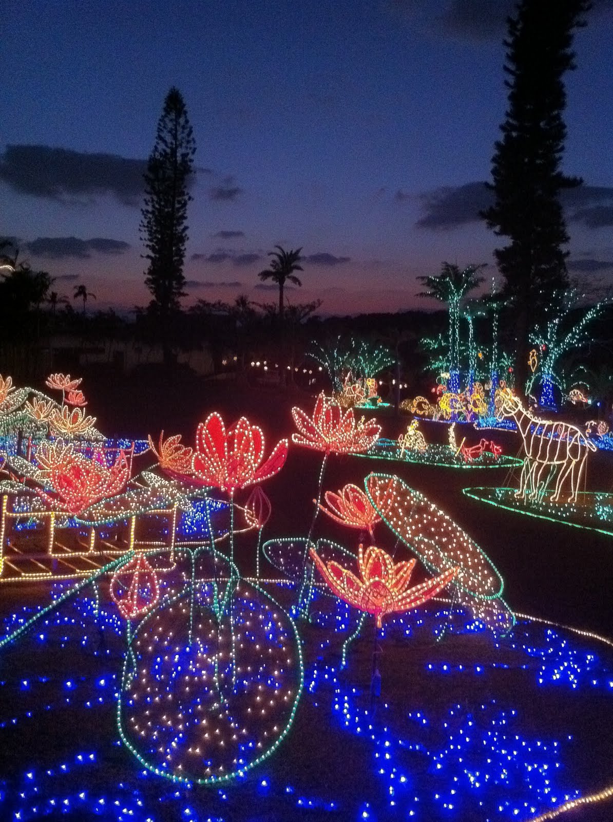 The Oklaho... er... Okinawa Smiths Christmas at Southeast Botanical