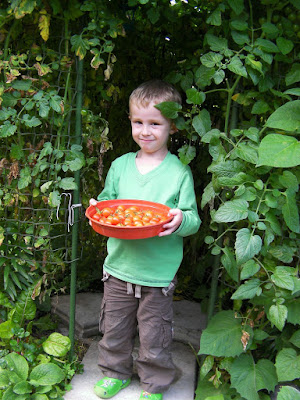 Fertility God: the Greene Man. Tomato harvest