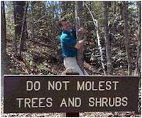 tree molester