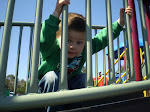 Sam (3.5) at the playground