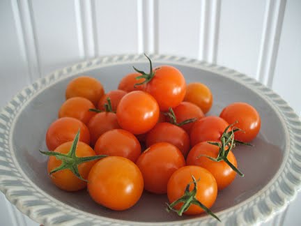 [tomatoes09.jpg]