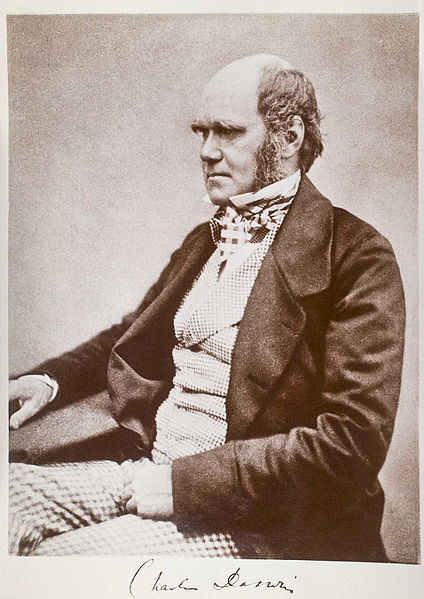 [darwin3.jpg]