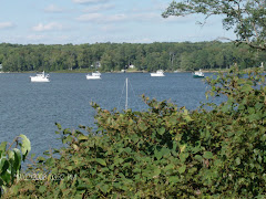 Anchored at St. Mary's, MD